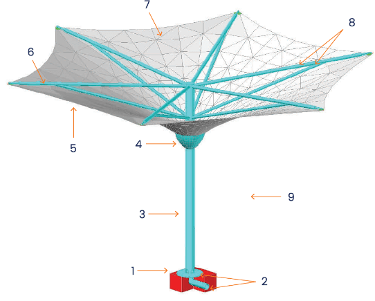 3d Umbrella virtualization figure