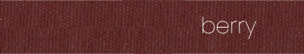 Berry Colour Swatch