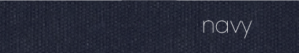 Navy Colour Swatch